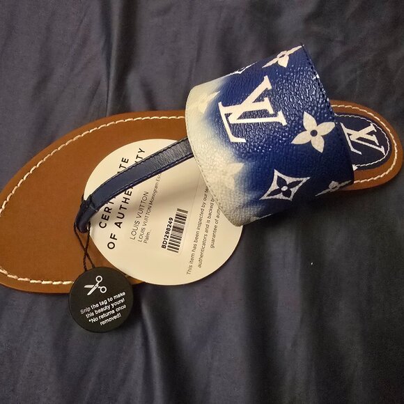 Louis Vuitton Escale Palma Sandals 39 Blue Gradient - Picture 2 of 3